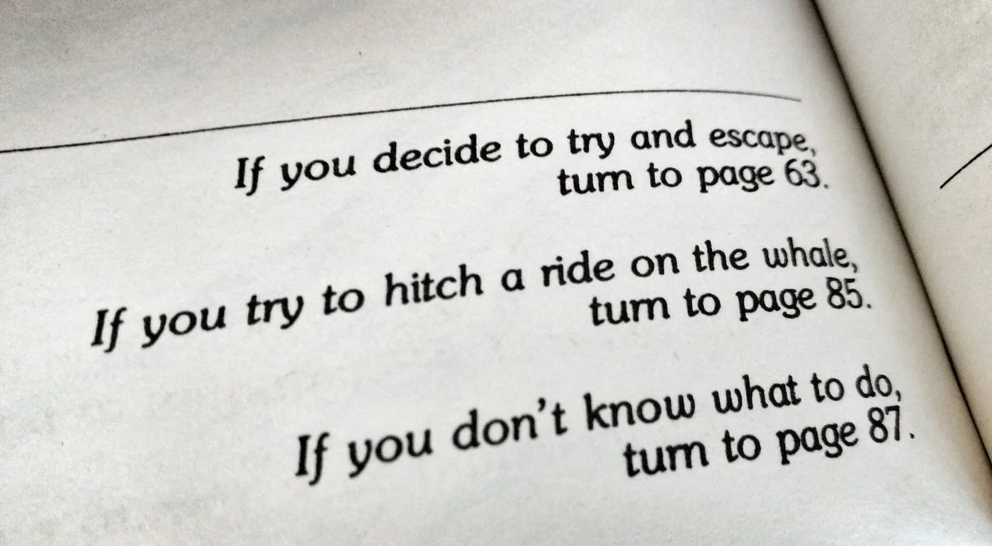 Choose Your Own Adventure Book