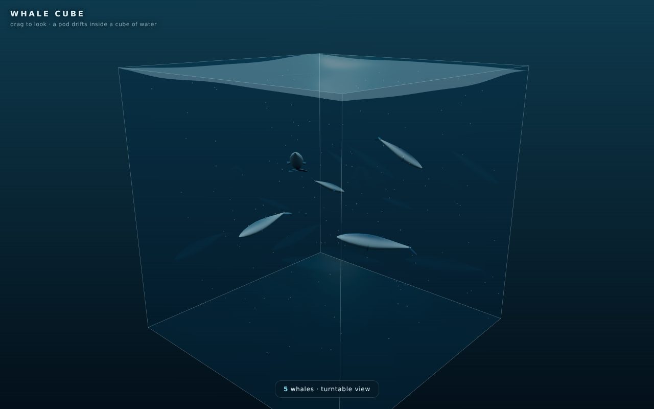 Screenshot of Whale Cube